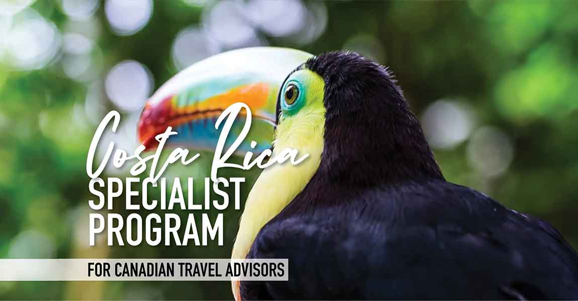 Discover the best of Costa Rica, where it’s easy to discover life’s essentials. This course provides key details on what makes Costa Rica attractive to travellers and offers a wealth of knowledge about this country’s extensive tourism assets, resulting in endless possibilities for vacation packages for clients.